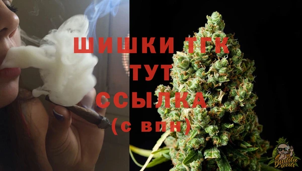 трава Балахна