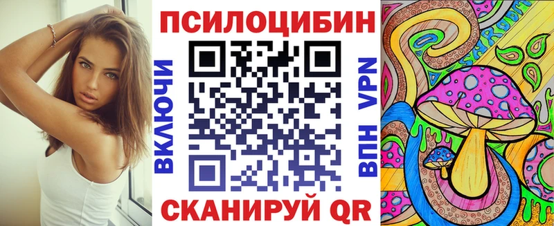 blacksprut ссылки  Козельск  Галлюциногенные грибы Psilocybe 